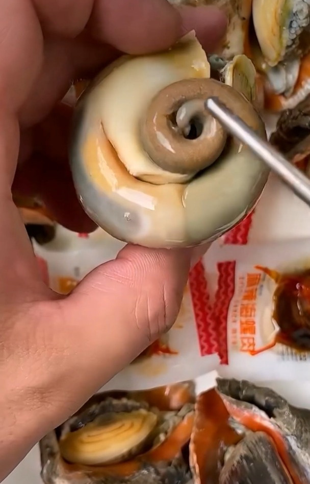 海螺这个地方千万别吃,吃多了会头晕!