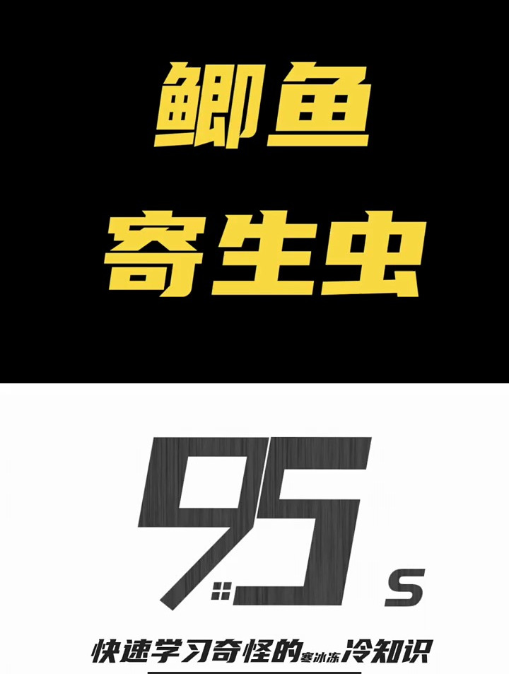 应该每条鲫鱼尾巴上都有这个寄生虫吧~