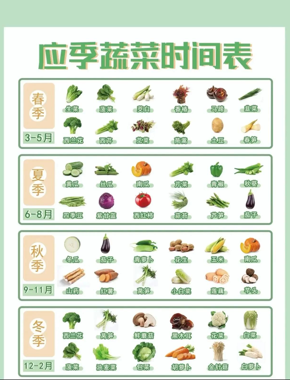 春夏秋冬吃啥菜?跟着季节走,新鲜蔬菜不迷路!