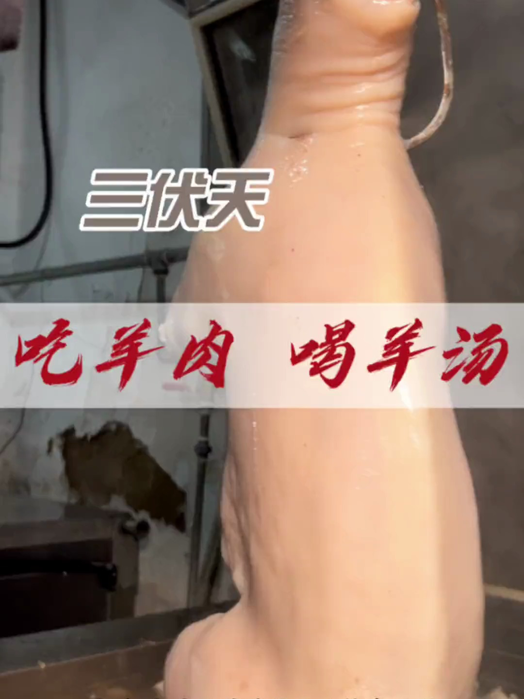 三伏天吃羊肉喝羊汤从活羊到白切羊肉只要6个小时~