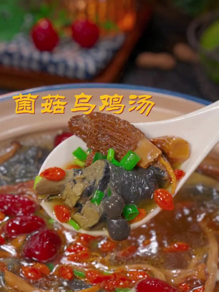 乌鸡汤的做法,又到了秋季煲汤的季节,给家人做个菌菇乌鸡汤喝喝