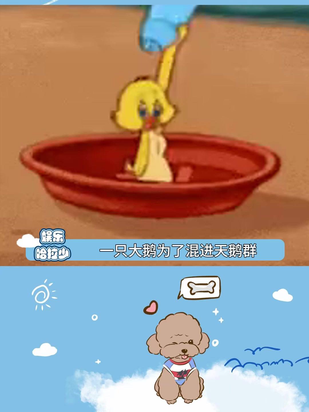 一群天鹅往南飞,一只大鹅撅腚追 大鹅 天鹅 万万没想到