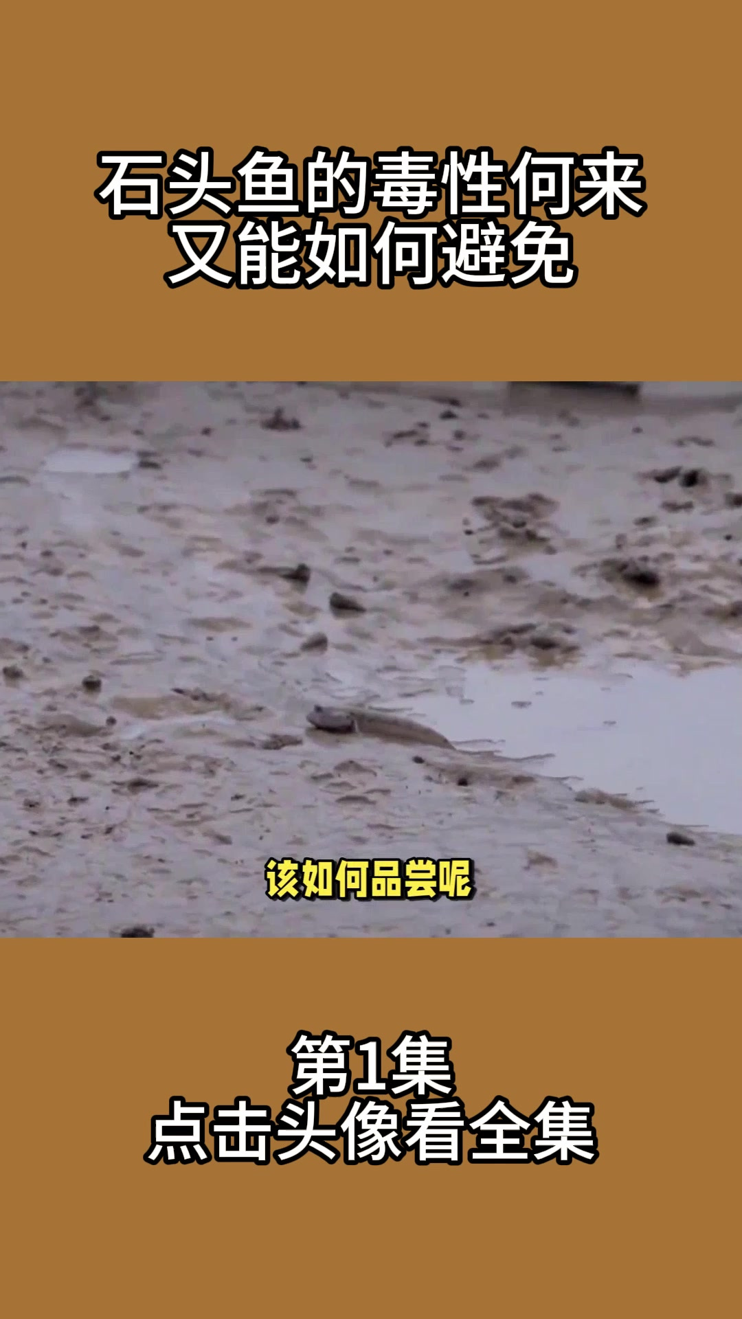石头鱼的毒性何来?又能如何避免?
