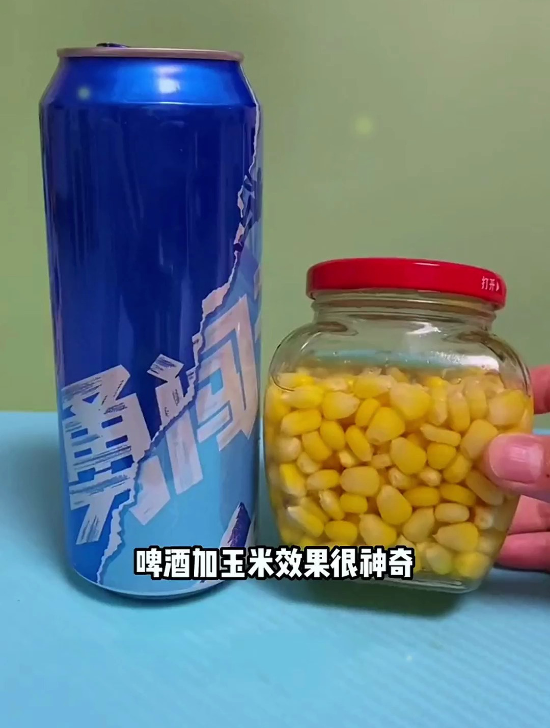 钓鱼又出新方法!用啤酒泡玉米粒,上钩的全是大鲤鱼和大草鱼!