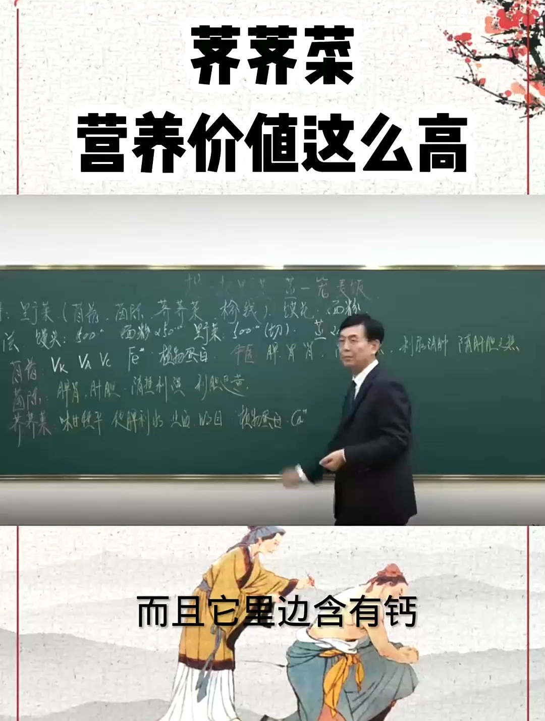 荠荠菜的营养价值竟然这么高,这个春天赶快行动起来吧!