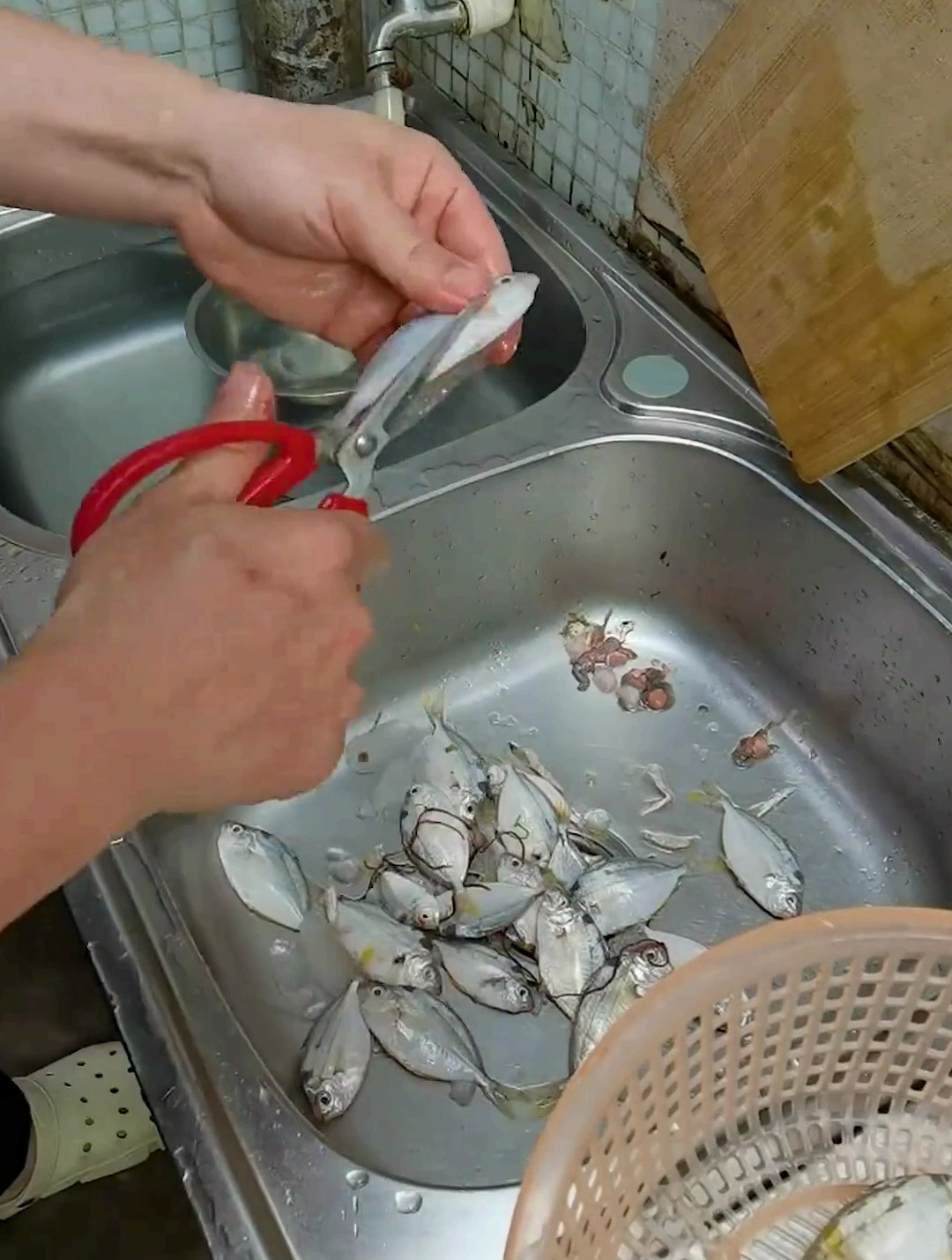 油叶鱼茼蒿汤 汤鲜味美,值得品尝!
