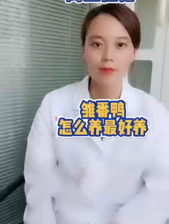 禽医恒艳讲雏番鸭怎么养最好养 最新番鸭养殖技术