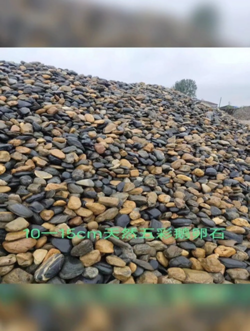 乌鲁木齐白色鹅卵石 园林景观造景鹅卵石 水处理鹅卵石