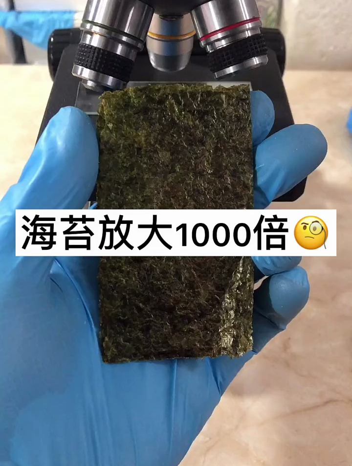 我不是卖海苔的~