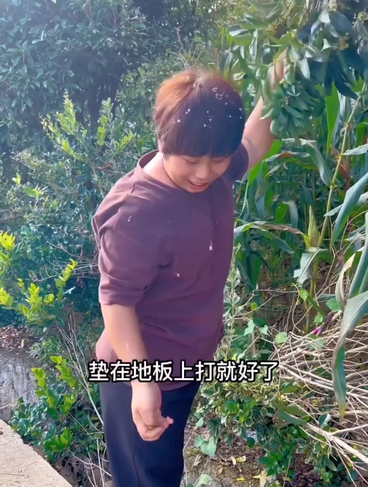 大自然的馈赠,摘点桂花回去做桂花糕