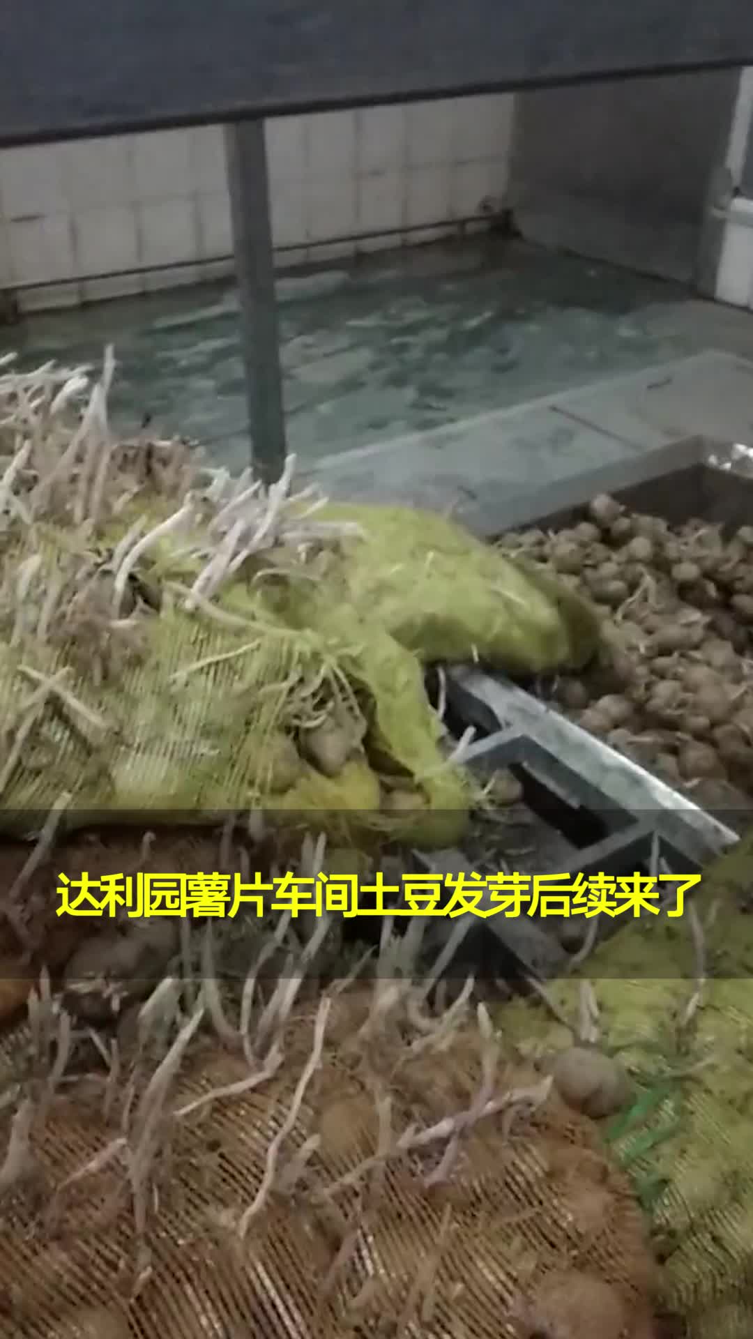 市监局通报网曝达利园薯片车间土豆发芽:爆料视频与被检单位情况不一致