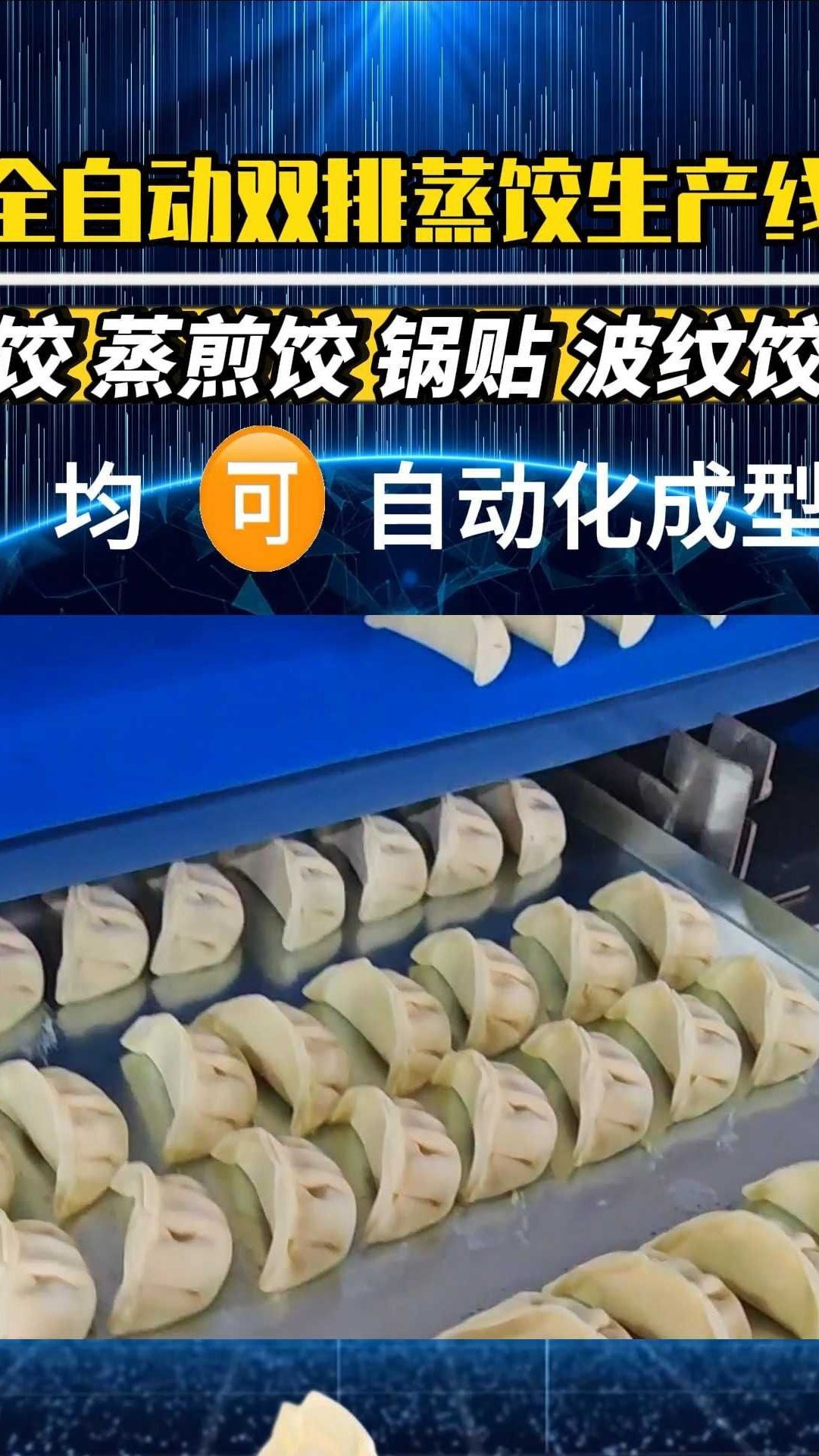 蒸饺机锅贴机一出二饺子机