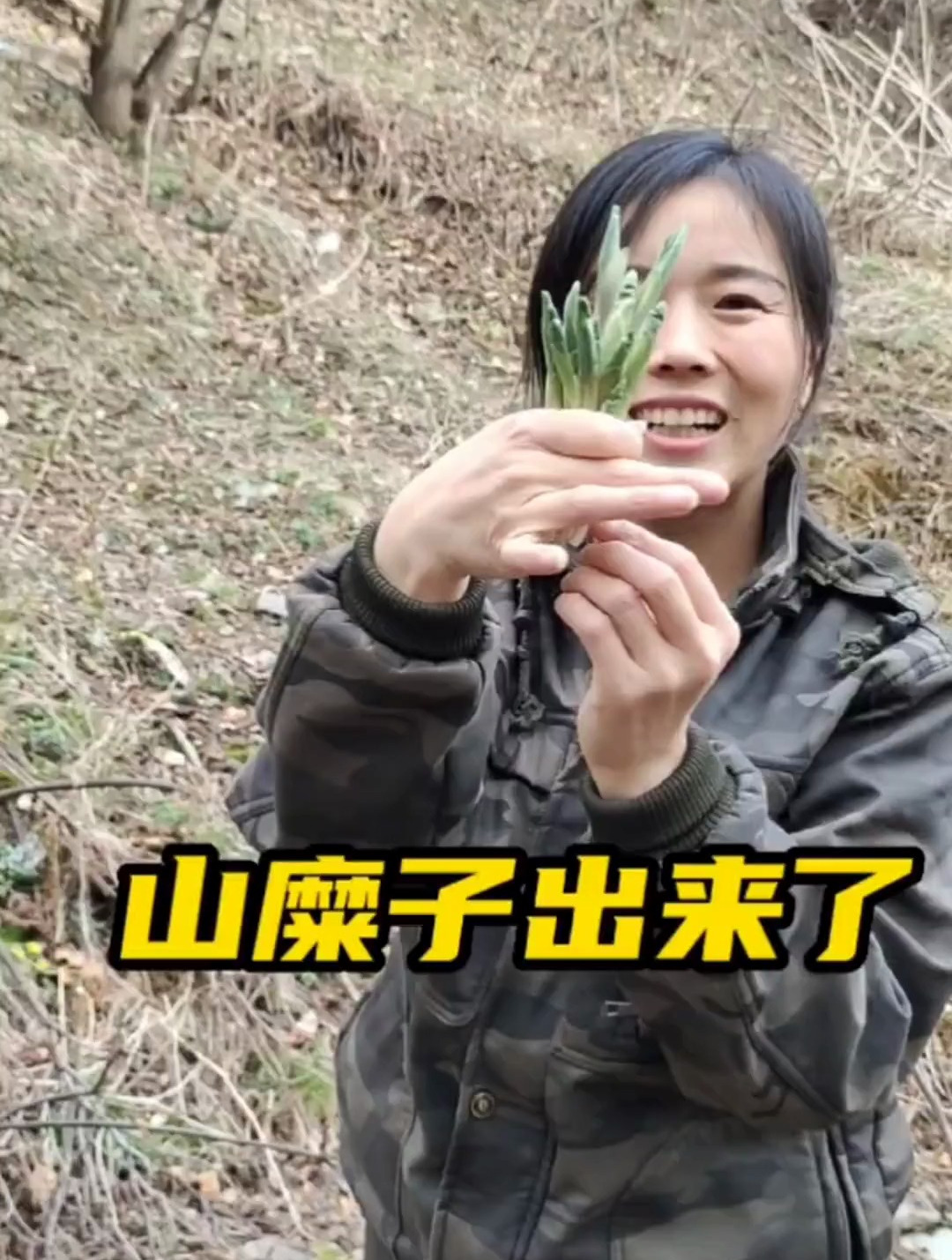 今年节气早啊,山糜子都出来了,一片一片的
