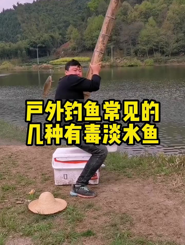 户外钓鱼常见的有毒淡水鱼,钓友们需小心!新手可能不知道