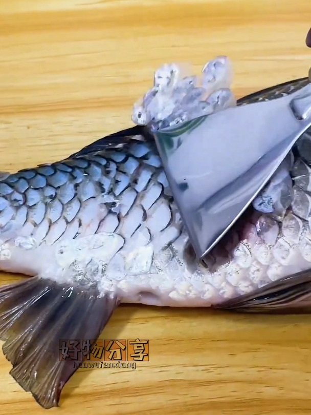 这个不锈钢鱼鳞刀太方便了,三秒去鱼鳞,贼高级