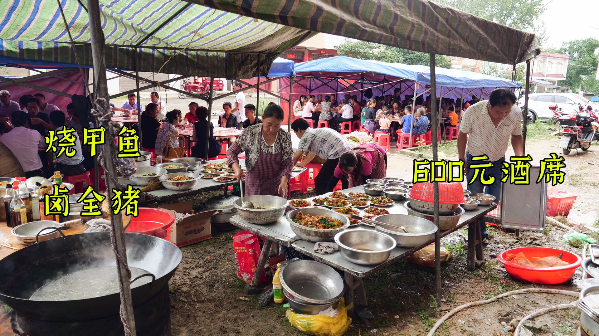 河南农村办喜宴,一天两顿600元高标准,甲鱼全猪啥都有,真厉害