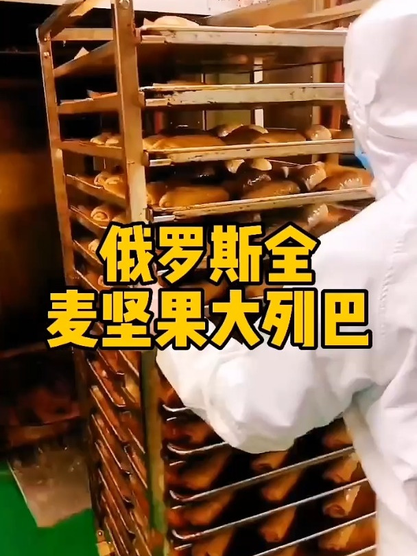 一个有一斤重,不加糖也不加油的俄罗斯大列巴!