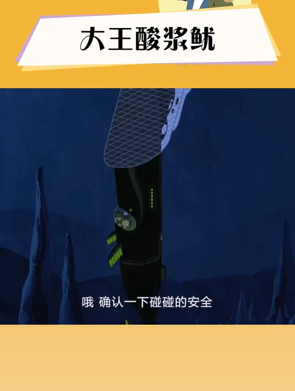 动物兄弟巨型生物对决!抹香鲸对战大王酸浆鱿!