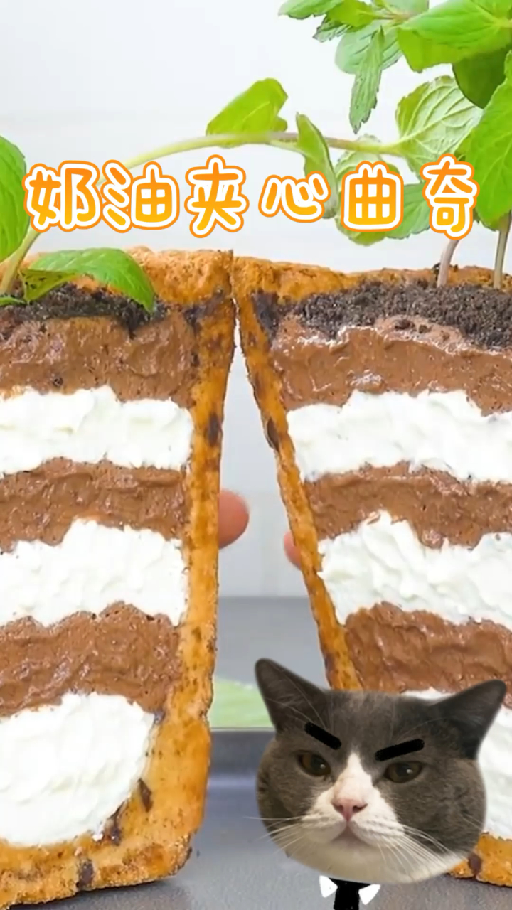 花盆蛋糕,造型独特,外皮酥脆奶油口感超细腻!