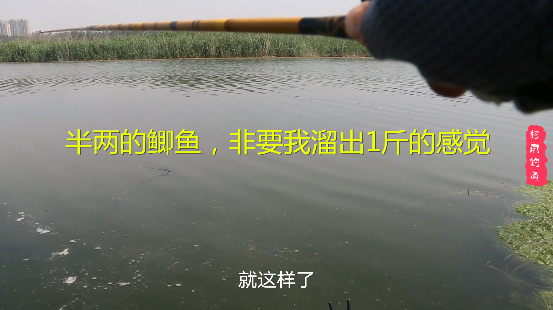 凡是说野钓打浮的朋友,请坐下看完视频后再喷我!我在留言区等你