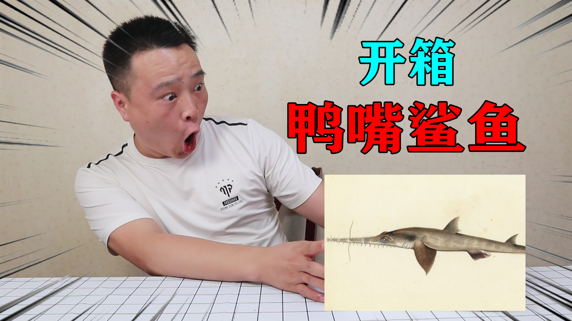 小浪开箱一条奇葩“鸭嘴鲨鱼”长着一张鸭子的嘴巴,而且还凶猛!
