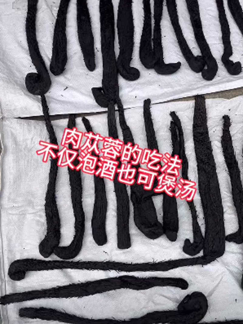 肉苁蓉的吃法,不仅是泡酒,还可以煲汤