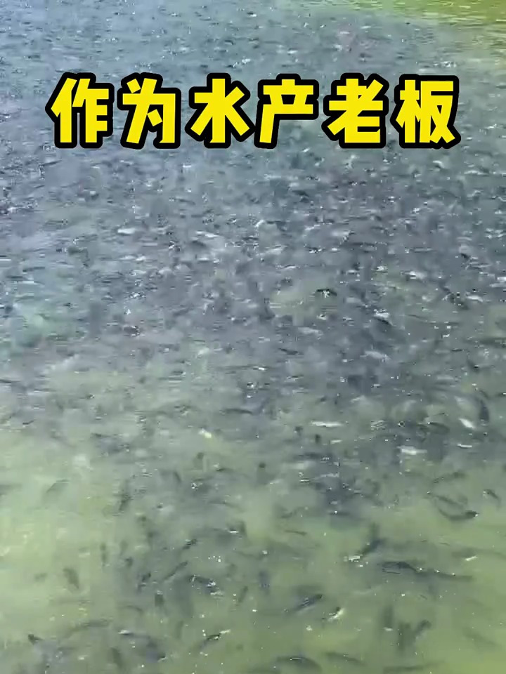 要想鱼少生病,做好池塘清理尤为重要。鱼塘消毒都用这款二氧化氯