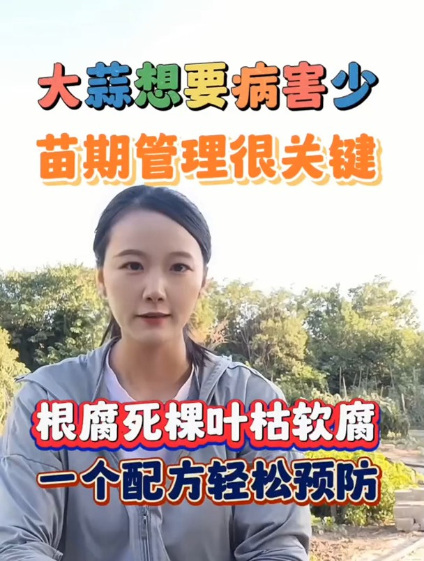 大蒜想要病害少,苗期管理很重要,几十种病害,一个配方轻松解决