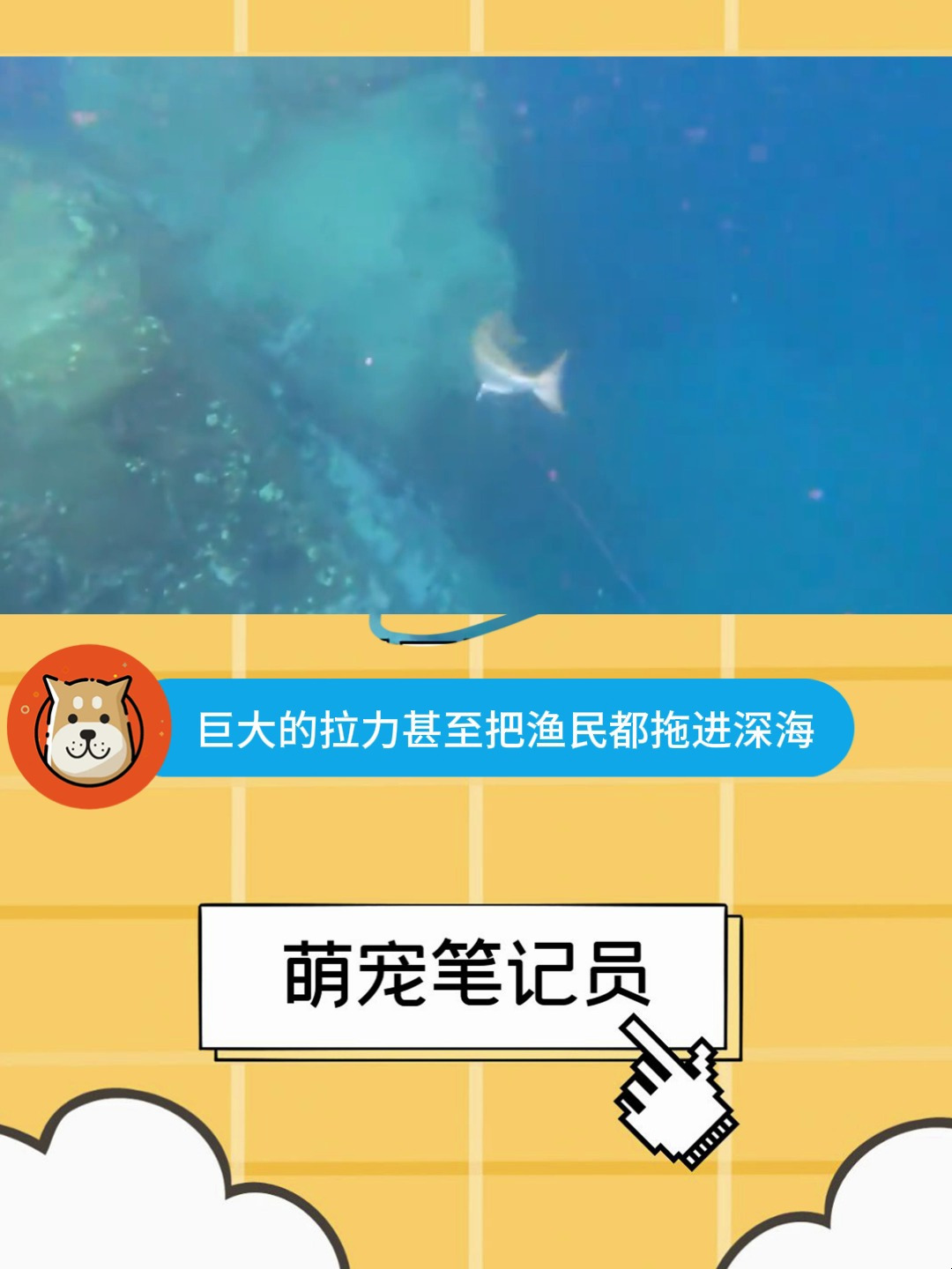 渔民连续捕获巨型鲹鱼,看他们打捞确实过瘾!