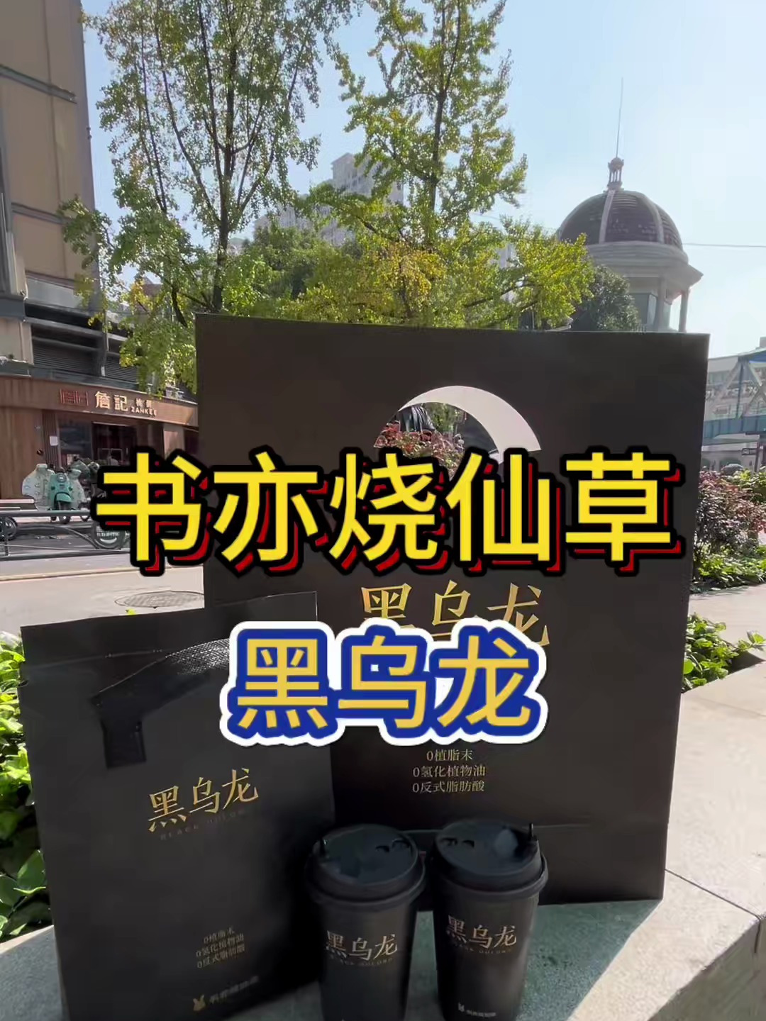 书亦烧仙草的黑乌龙我真的爱了呀