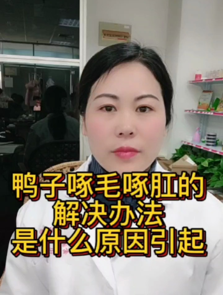 鸭子啄毛啄肛鸭子互相啄毛的解决办法