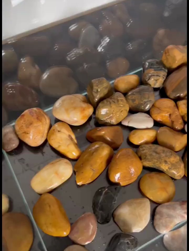 鱼缸造景放石头,增加层次感,简直YYDS