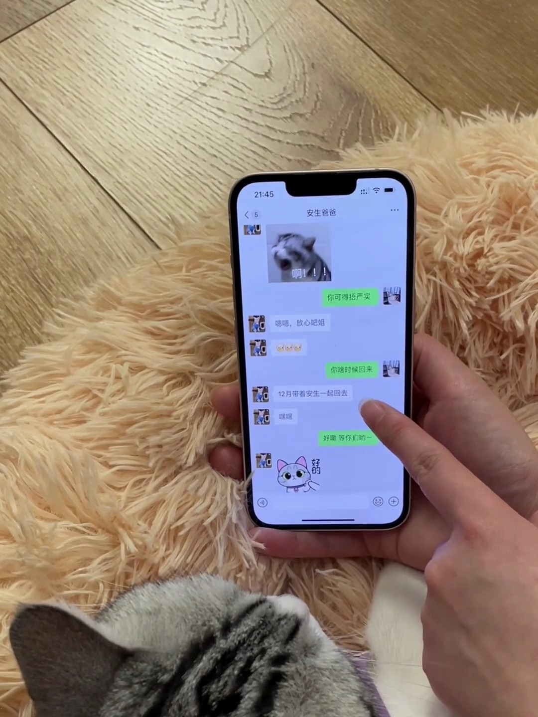 又降温了 给泡芙和安生做了情侣围巾 期待安生回来