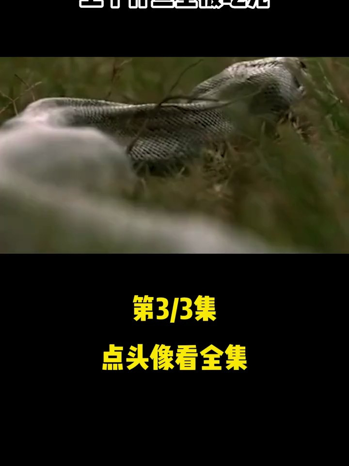 黑龙江一鱼塘莫名少鱼,抽干水发现一条百斤巨蟒,专吃鱼塘自助!