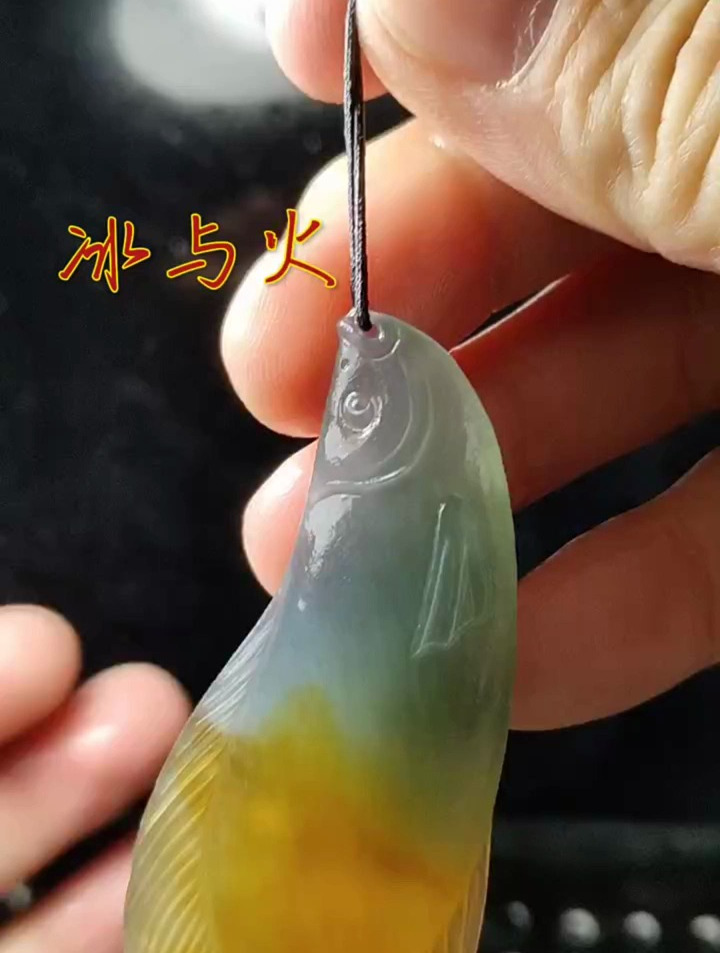 鱼在水中,自由在天空