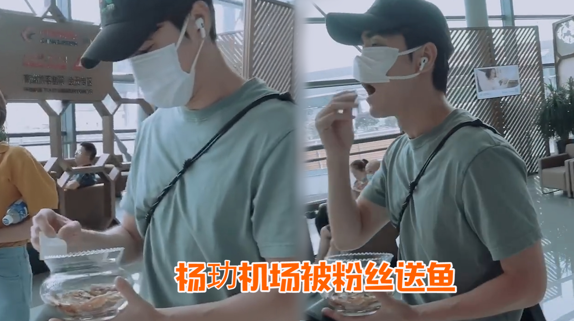 陈养鱼你的鱼来了!杨玏机场被粉丝送鱼,称赞鱼干真香要找袋子装