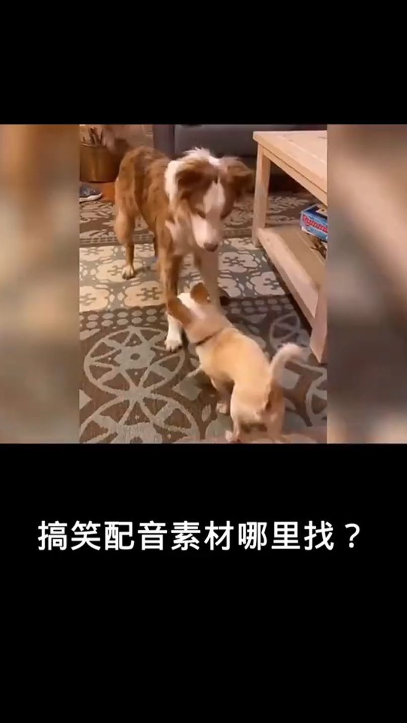 拿来即用,适合用来做沙雕搞笑视频
