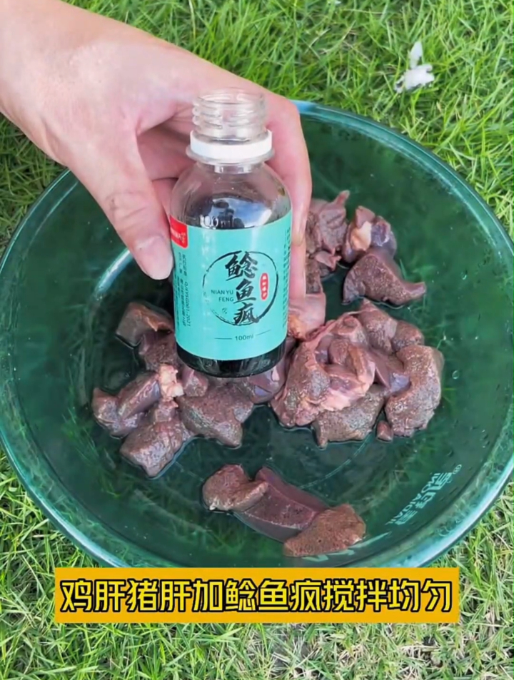 钓鲶鱼用什么饵料?盘点鲶鱼最喜欢的饵料,老钓友推荐
