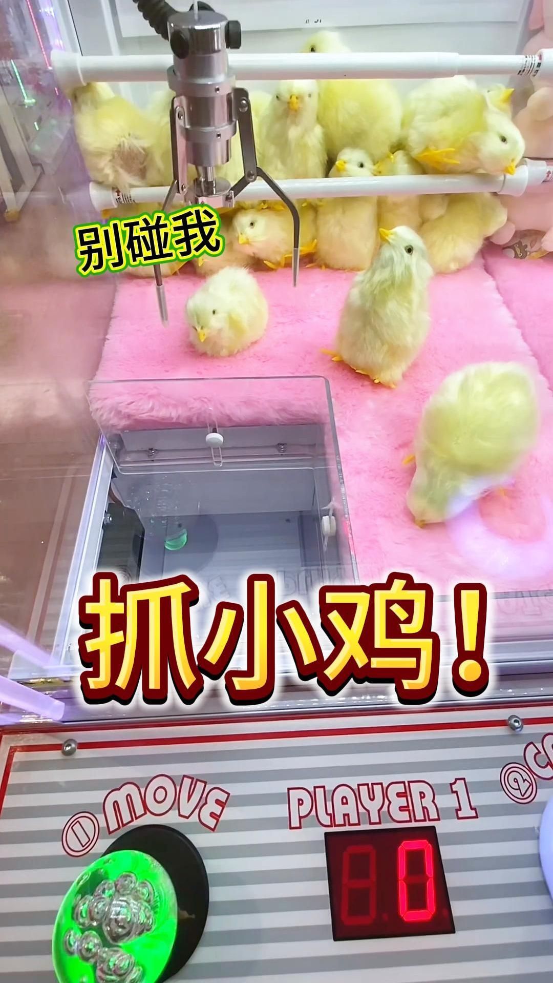 娃娃机里能抓小鸡崽了?!