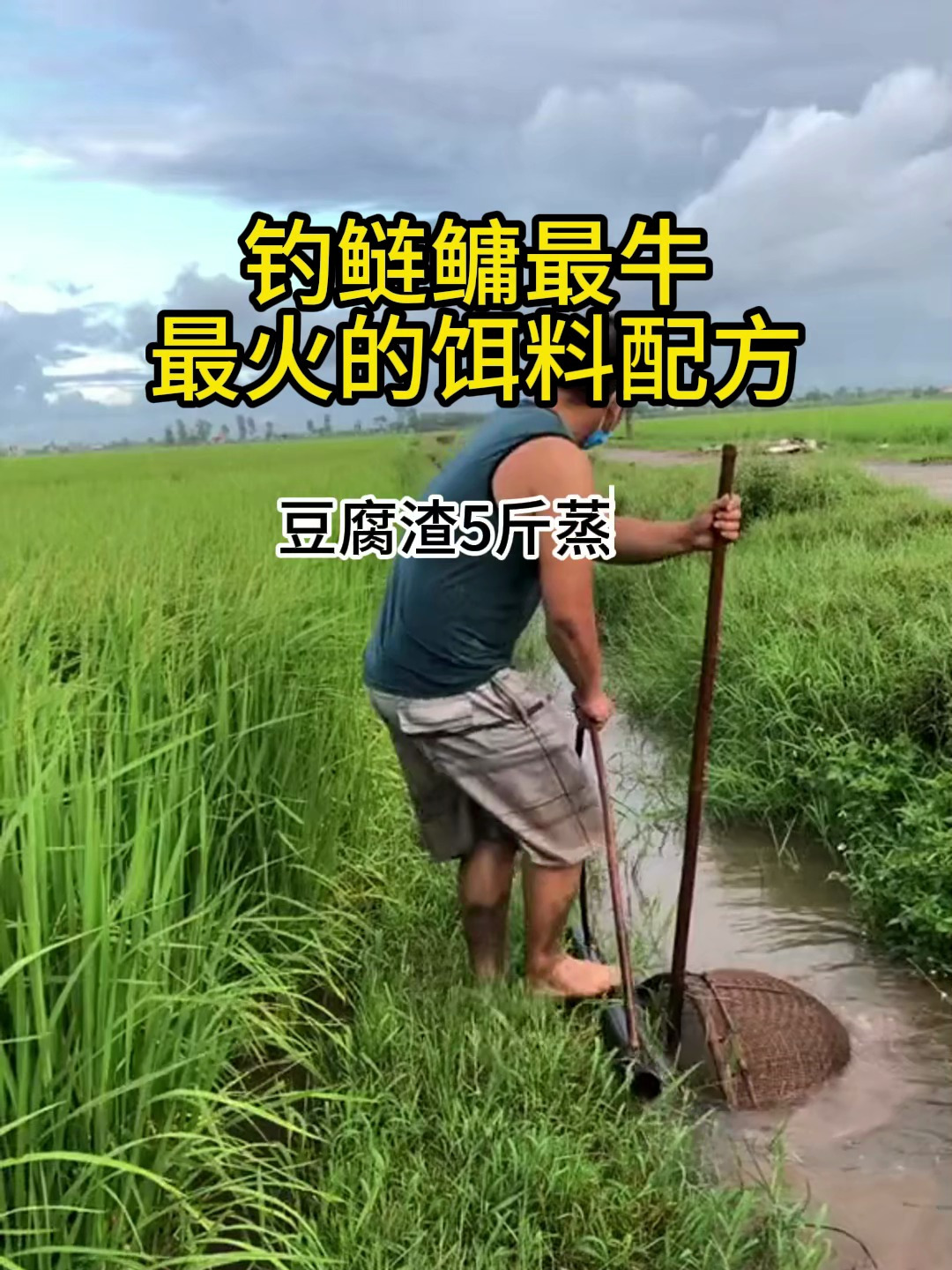 教你自制钓鱼饵料配方,针对鲢鳙,学会了等于挖到宝!