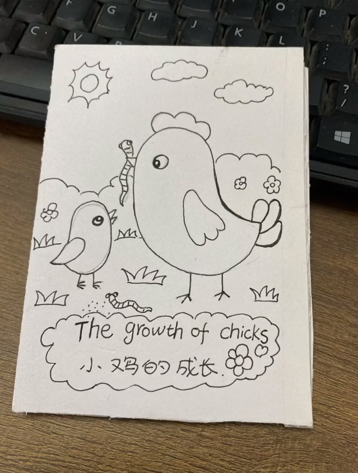 自制绘本故事 画绘本 画小鸡 小鸡的成长