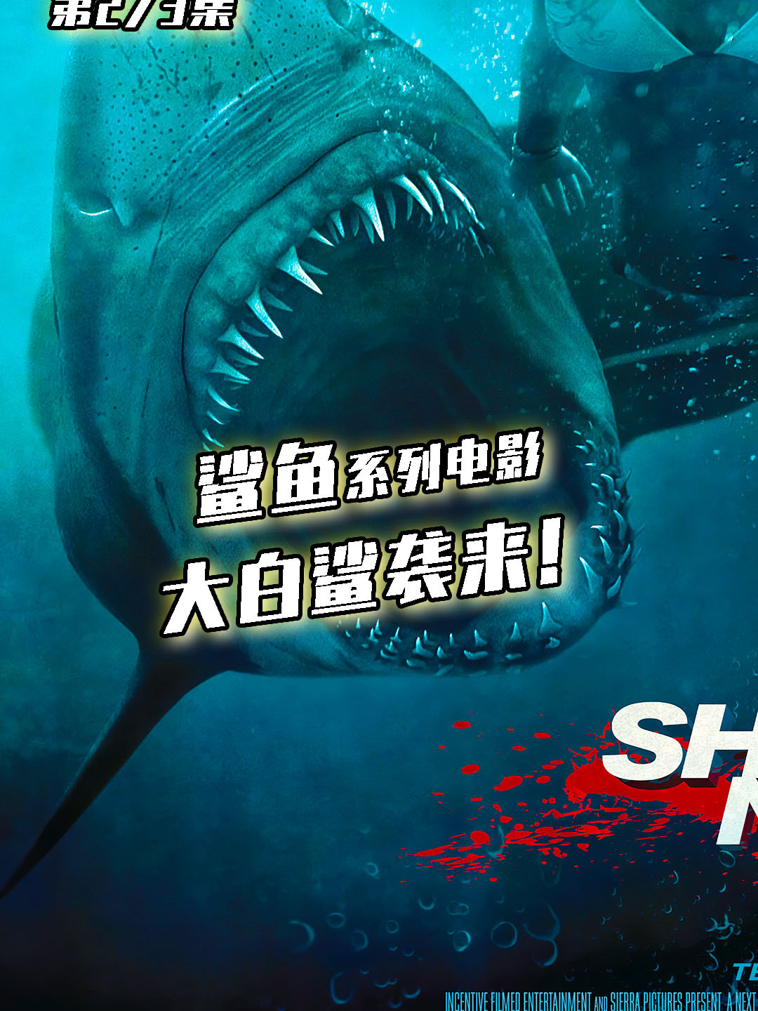 经典恐怖电影《鲨鱼惊魂夜》震撼袭来!大白鲨袭来!