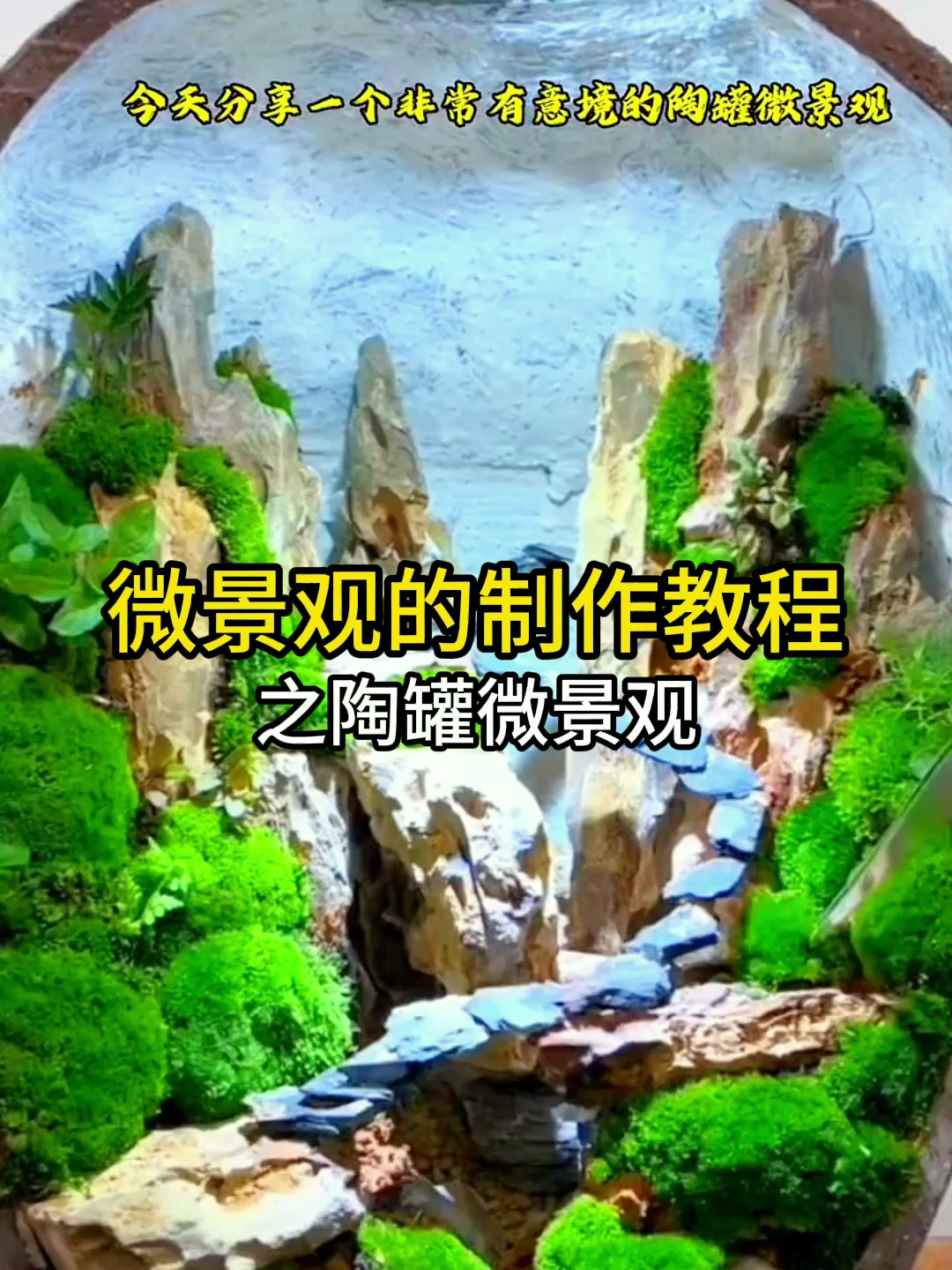 陶罐怎么做成微景观?学会这个技巧就行!