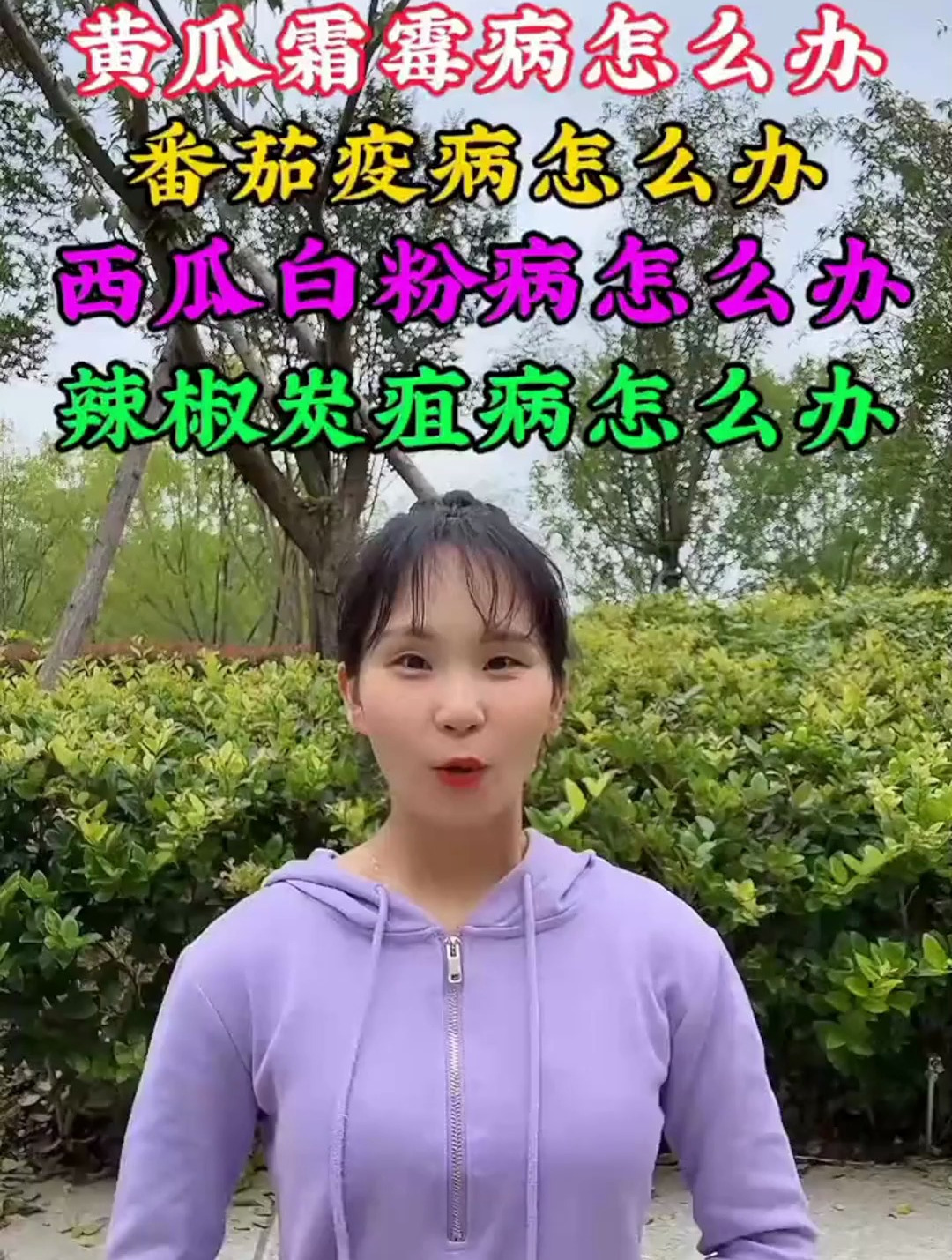 黄瓜霜霉病、番茄疫病、西瓜白粉病、辣椒炭疽病该怎么防治?