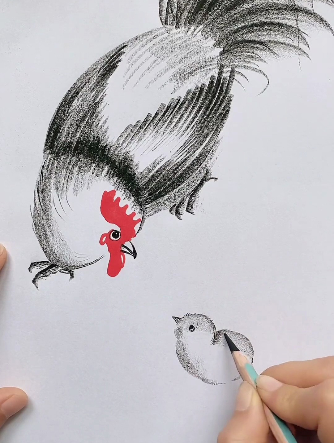 简笔画公鸡 一起学画画