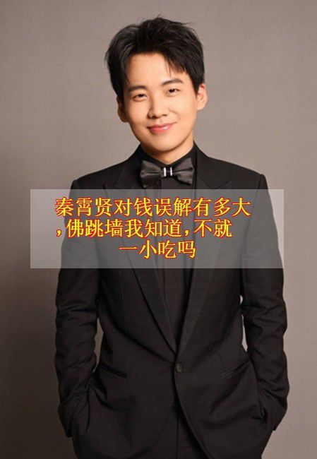 秦霄贤对钱误解有多大,佛跳墙我知道,不就一小吃吗