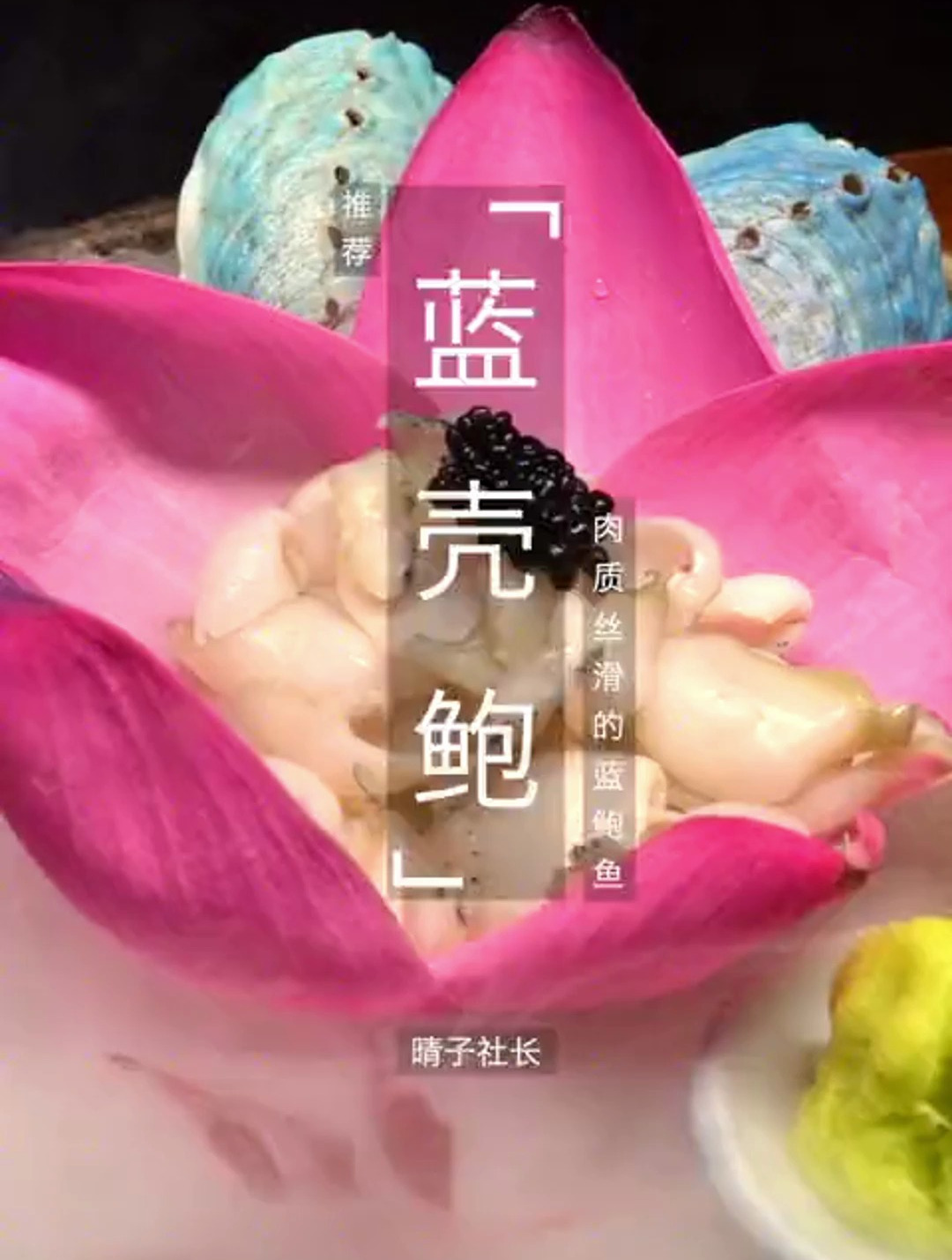 夏天什么都不想吃 不如试一试新西兰蓝鲍鱼