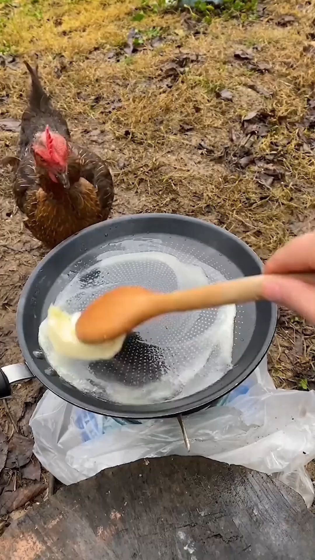 深圳客户带来圣农的鸭边腿试机全自动冻鸭边腿切块机