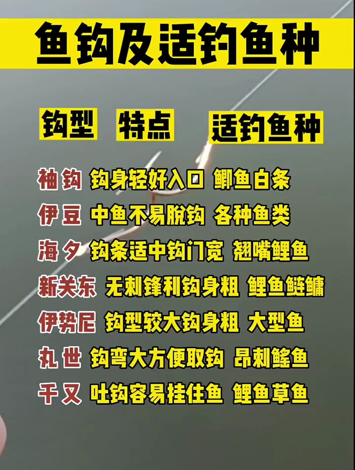 一张图告诉你,各种鱼钩以及适钓的鱼种
