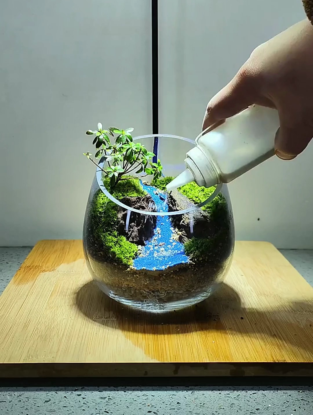 不养小金鱼了,做个桌面景观